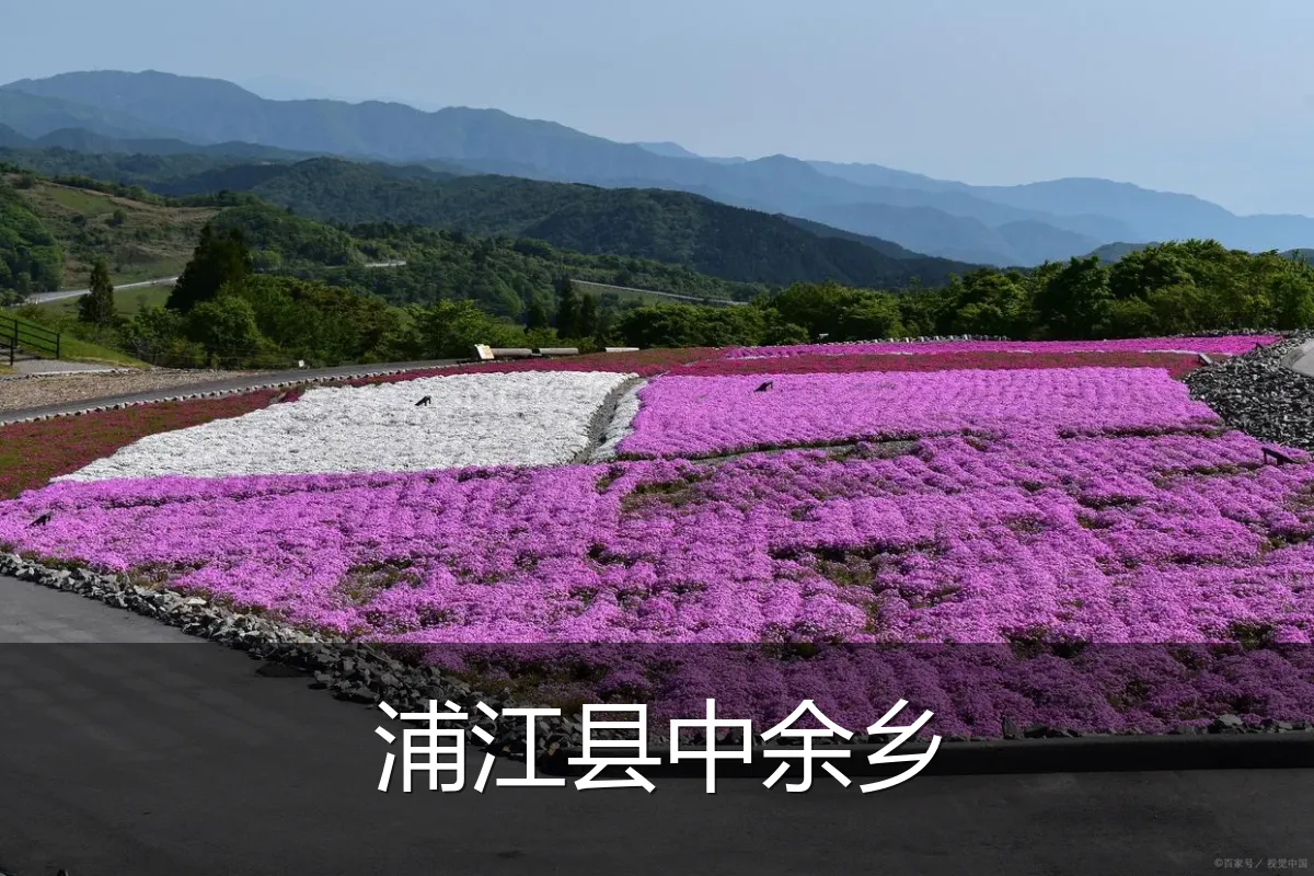 浦江县中余乡
