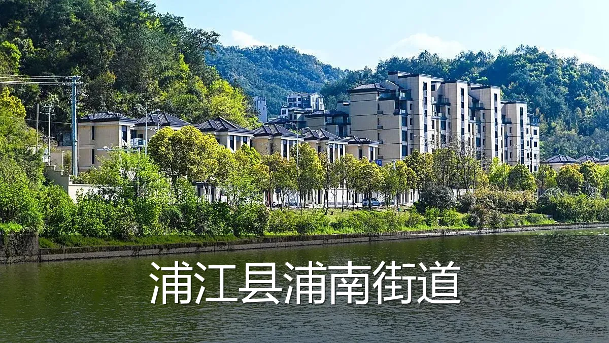 浦江县浦南街道